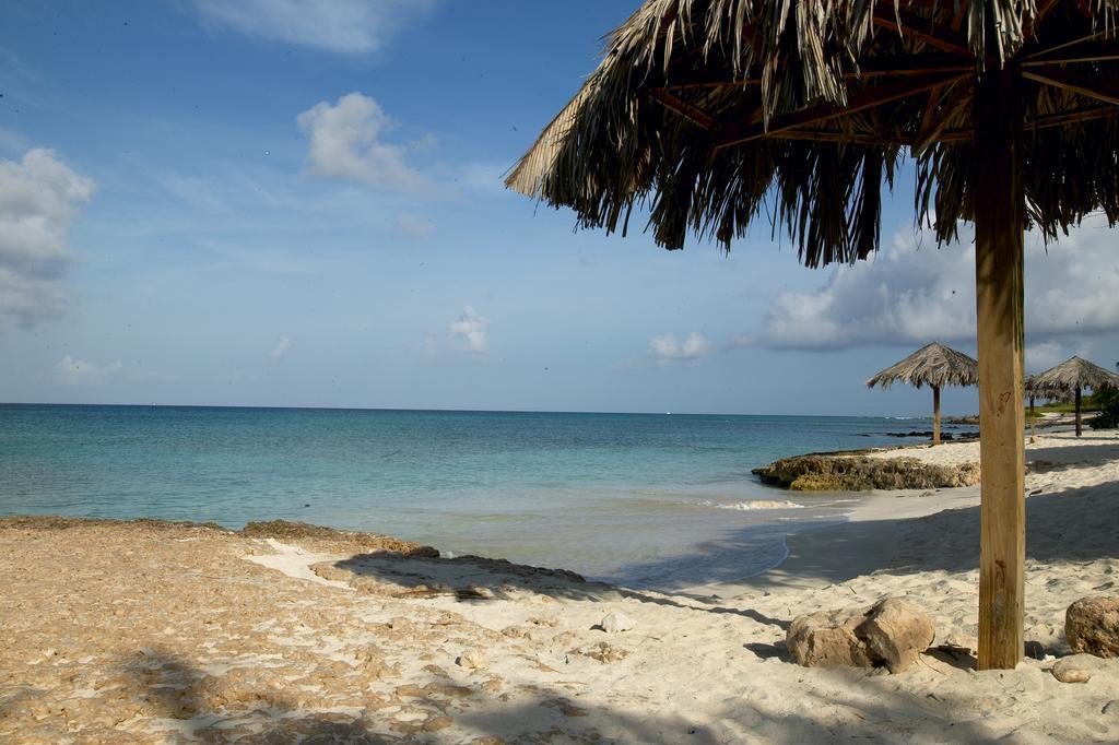 Villa Bougainvillea Aruba, The Tango Suite Palm Beach Exterior foto